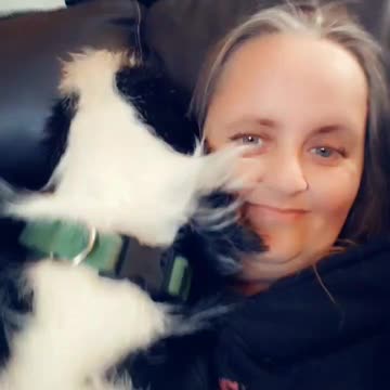 Spoiled dogs are the best