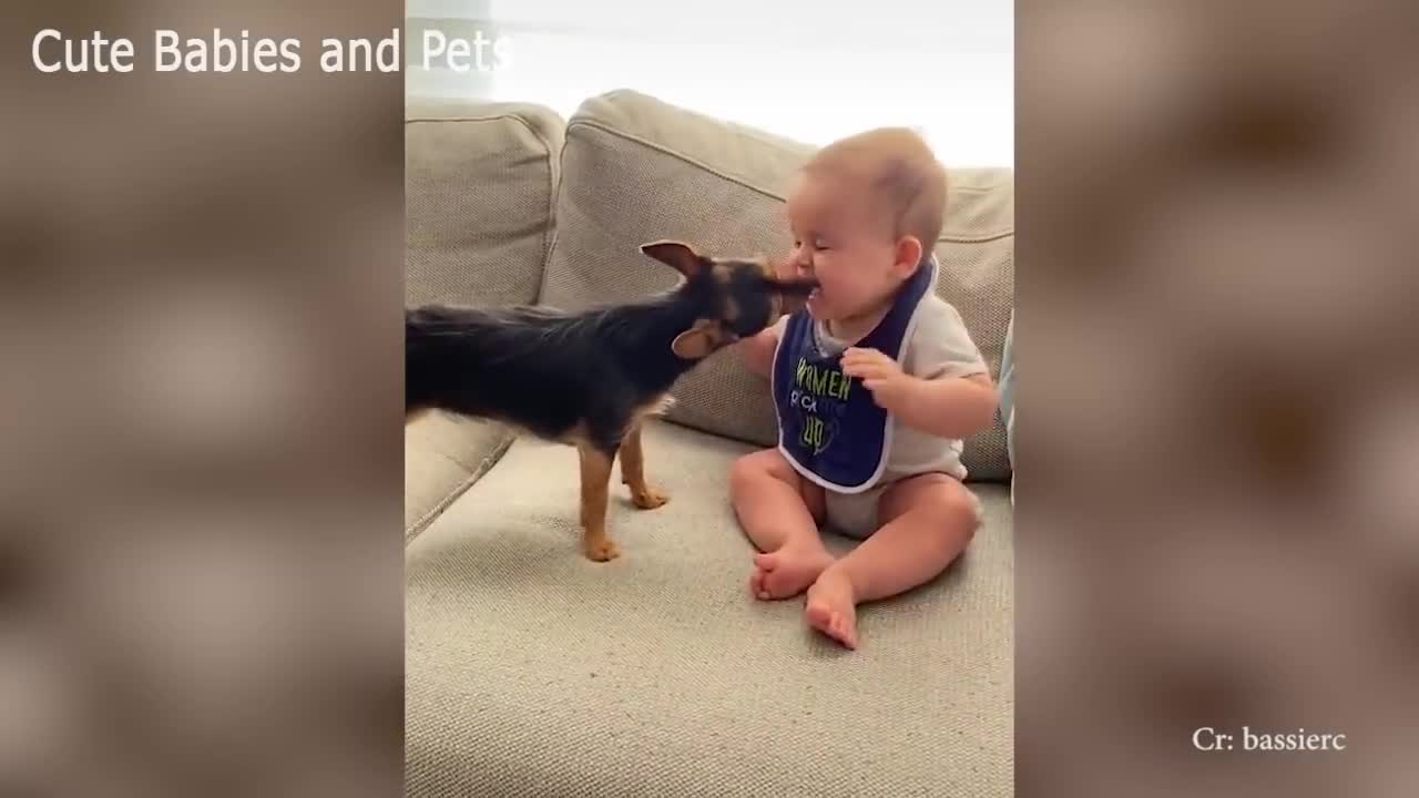 Adorable Puppies Love Babies Compilation 😍 A Cute Puppy 🐶and Baby👶 Videos 2021