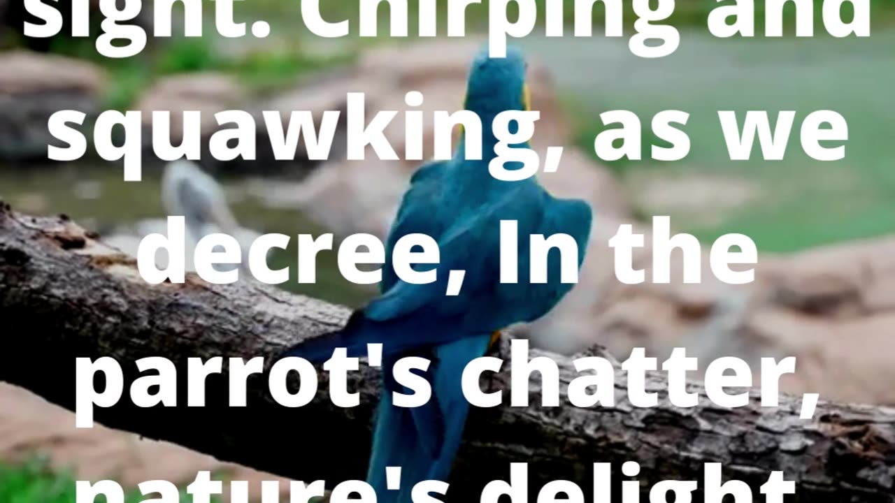 Feathers and Fables: Creative Explorations of Our Chatty Friends #poem #poetry #shorts #artππππ«βοΈ