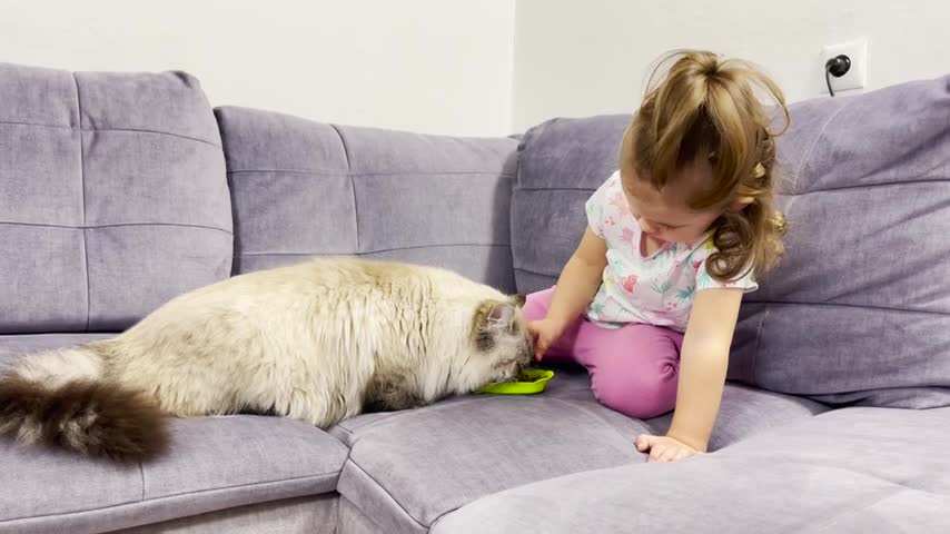 Baby_Girl_Shows_How_to_Properly_Feed_a_Cat_