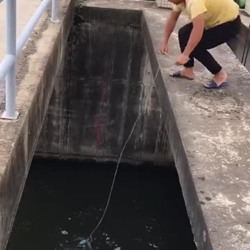 New fish trap technology from Fishing SR
