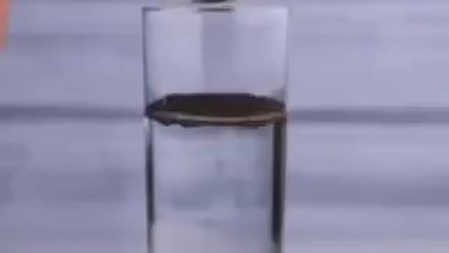 plastic food