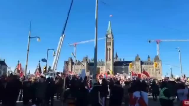 Crowd in Ottawa cheers after man shouts "We will not leave until this corrupt government resigns!"