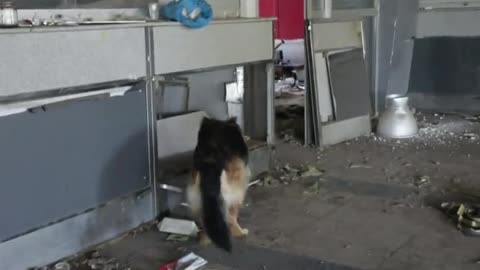 ΑΠΟΝΑΡΚΟΘΕΤΗΣΗ ΑΕΡΟΔΡΟΜΙΟΥ ΜΑΡΙΟΥΠΟΛΗΣ