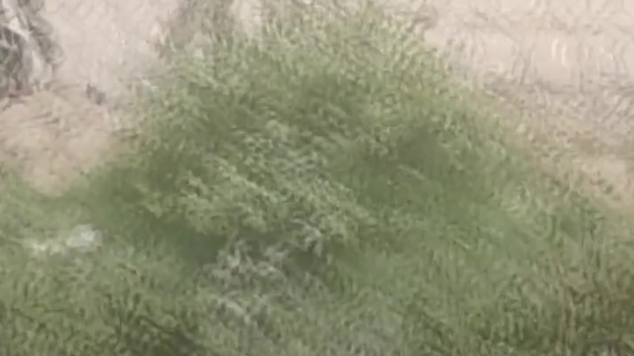 Looks Like The Texas National Guard Has Had Enough Of The Invasion At The Southern Border
