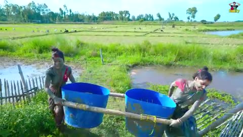 Funny videos