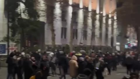 🇬🇪 12th day of protests in Georgia. 🎄 A Christmas tree was seen, on which