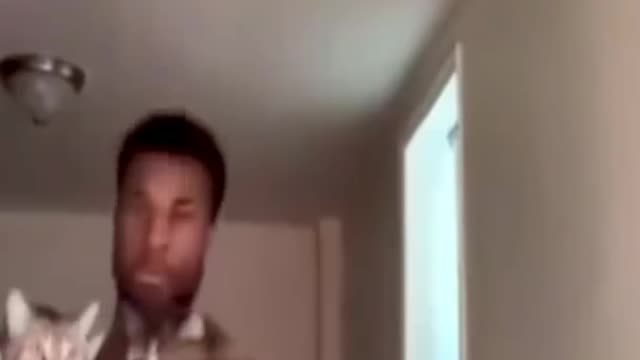 Best of the amazing funny video