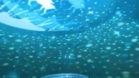 Star Projector Kids Night Light Lamp Rotating Moon Starry Sky Projection