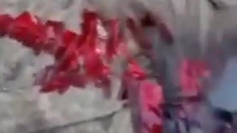 Ukraine soldiers shoot and torture Russian POWs