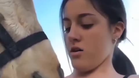 Cute animal behavior makes you happy