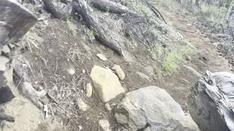 Stair Step Section of Black Butte Trail – Deschutes National Forest – Central Oregon – 4K