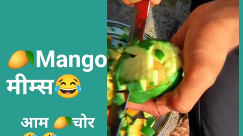 Mango 🥭🥭memmes🤣🤣🤣🤣🤣🤣