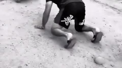 The turtle follows the sign