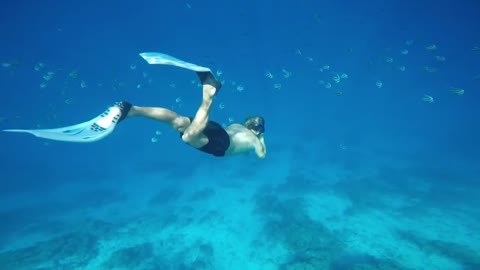 BEST SNORKELING IN THE WORLD PART 2