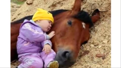 Cute Baby and Horse Funny Baby and Animals Compilation