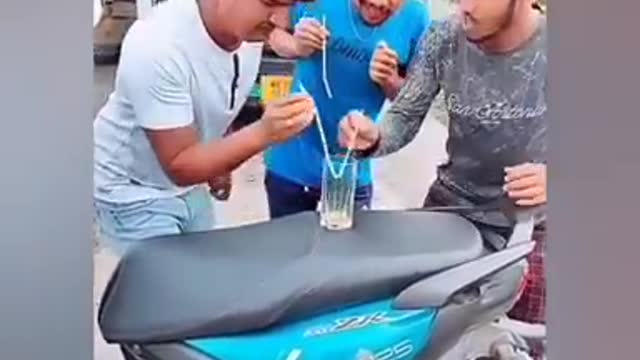 funny dog vs monkey video ll funny video ll