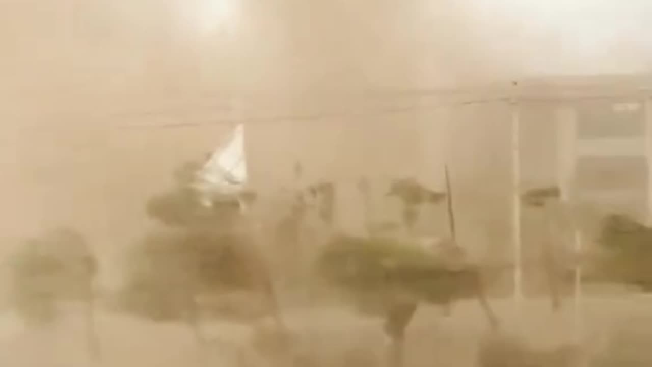 Let's take a look at the disasters that happened in 2023 D I S A S T E R ️