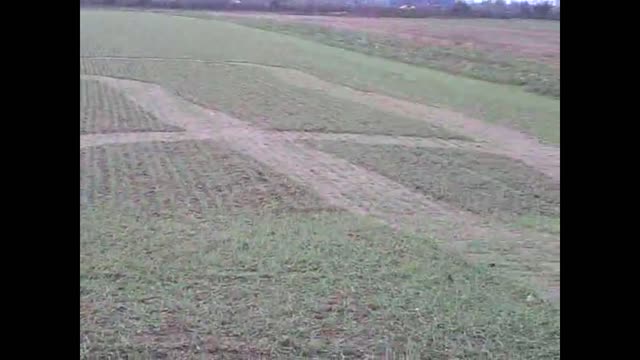 Symbols at the landing site of a UFO after contact