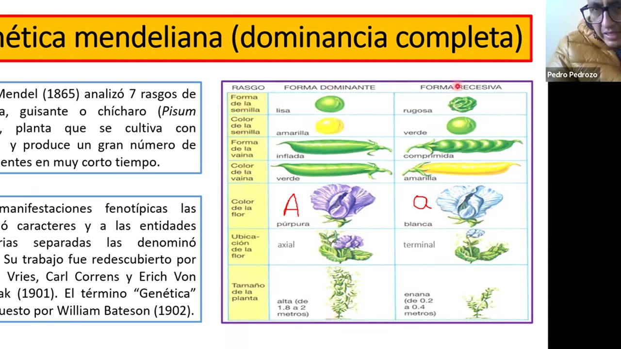 ADC SEMESTRAL 2022 Semana 11 BIOLOGIA