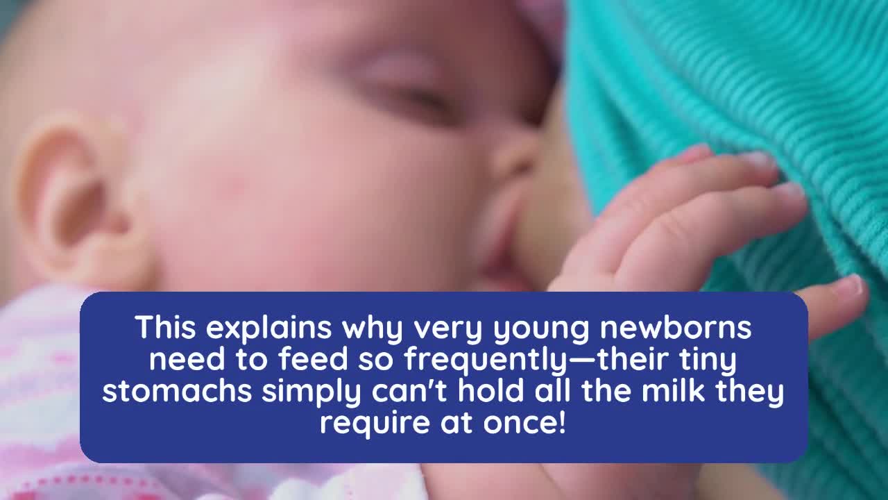 5 Facts Everyone Should Know About Baby Facts