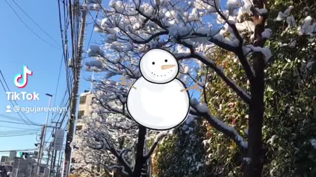 Winter In Tokyo