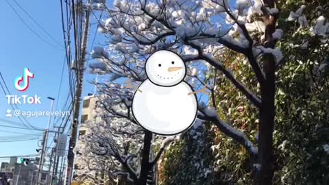 Winter In Tokyo