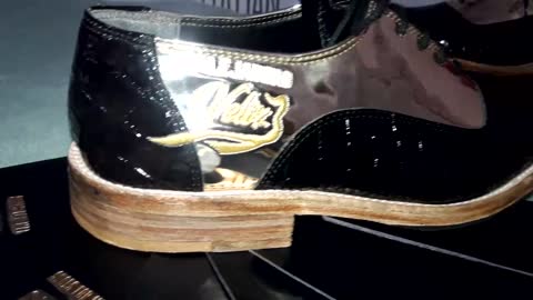 Black Caiman & Gold