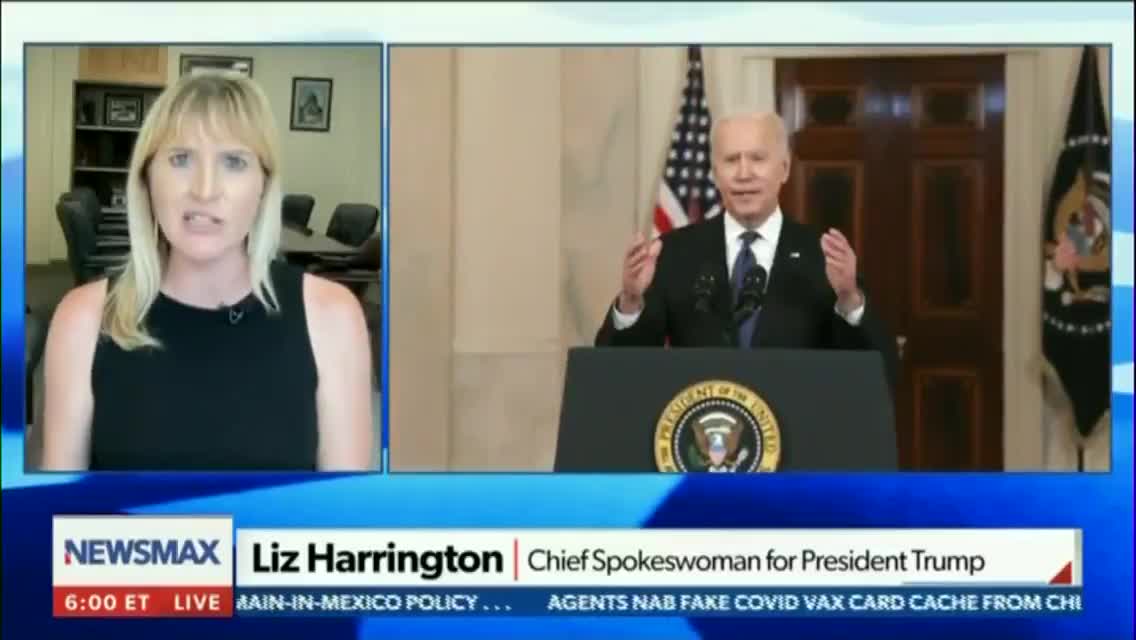 DHS to Consider Election Results Questioning as 'Domestic Terrorism'