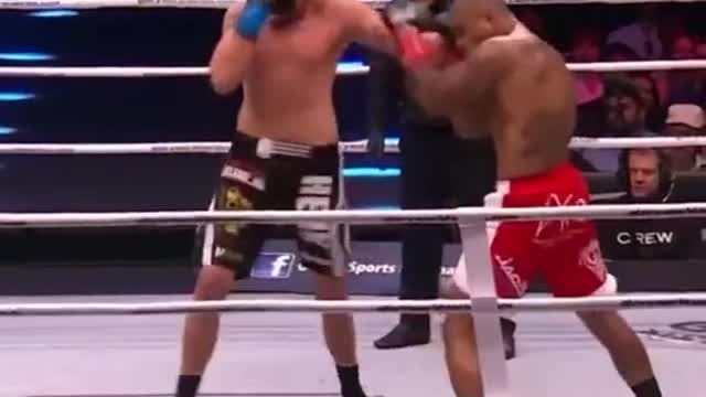 BOX - Gladiators