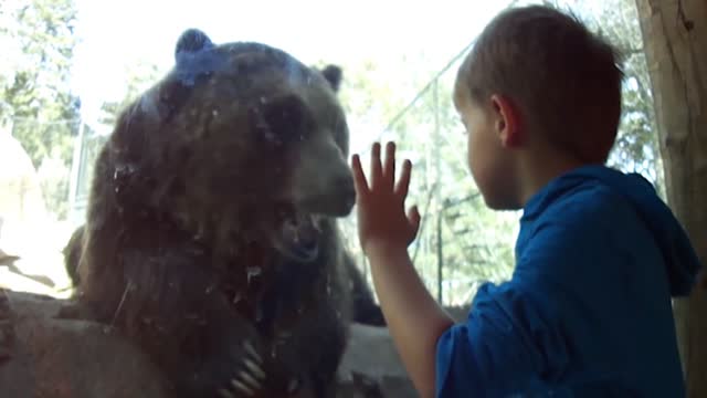 KIDS PLAYING WITH ANIMALS