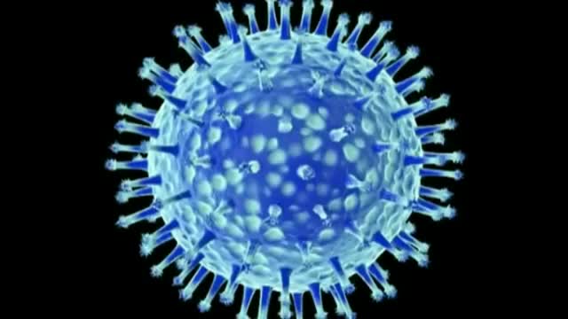 TRUTH ABOUT VIRUSES . EXPOSED