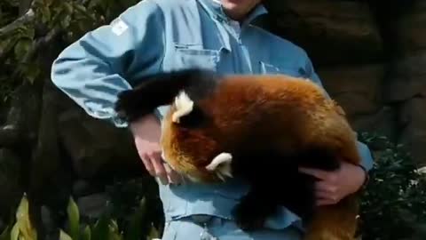 Nature & Animals🌴 - 1 minute of your life well spent