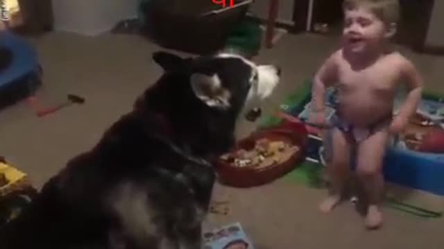 Cute baby with dog