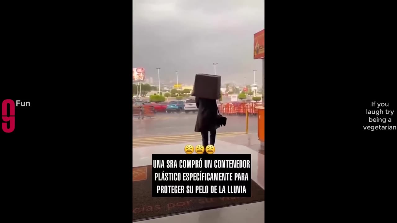 Funny videos