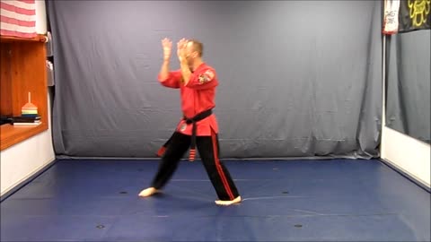 Basic Skillz Orange Belt - Green Stripe