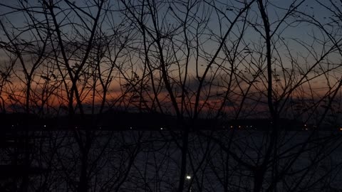 Sunset, sky, sea and trees 5
