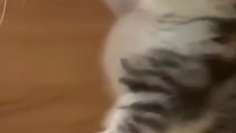Little Cutie Pie #shorts #viral #shortsvideo #video