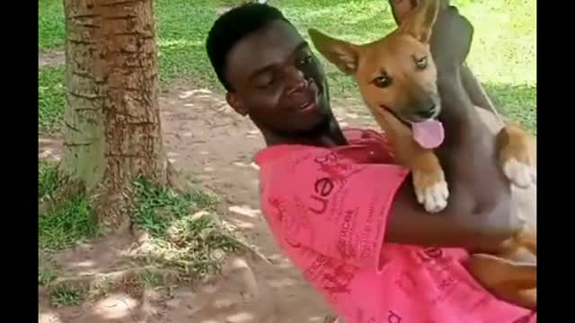 Happy dog