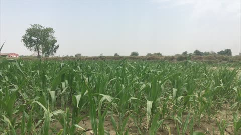 Country side Landscape