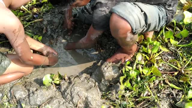 Big Catfish Hunting By Deep Hole ll Amazing Fishing in the Natural Beautiful Field