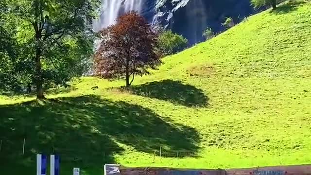 Creative video and wonderful nature