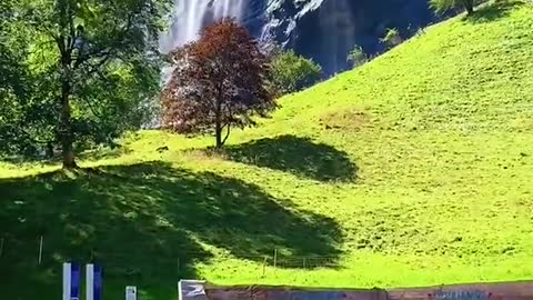 Creative video and wonderful nature