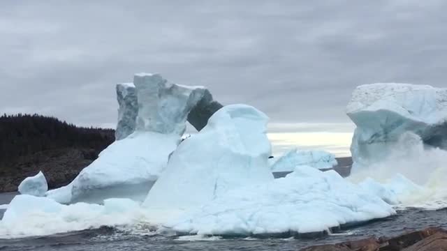 Iceberg Rolls in the Bay