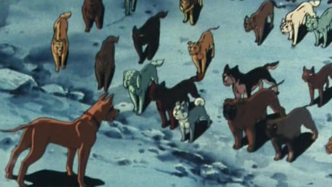 Silver fang avsnitt 17