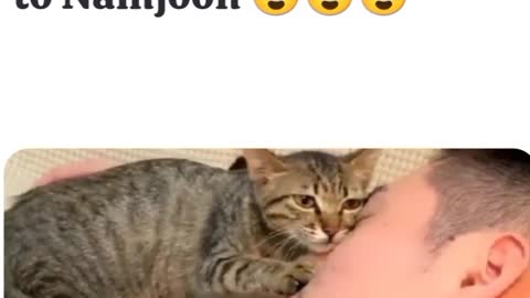 OMG 😱 cute animal 😍😘