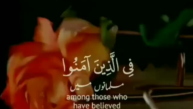 Don't be fahash فحش۔۔۔ | vibesofislam