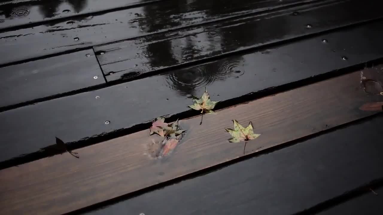 Relaxing Rain and Thunder, Background Noise, ASMR.