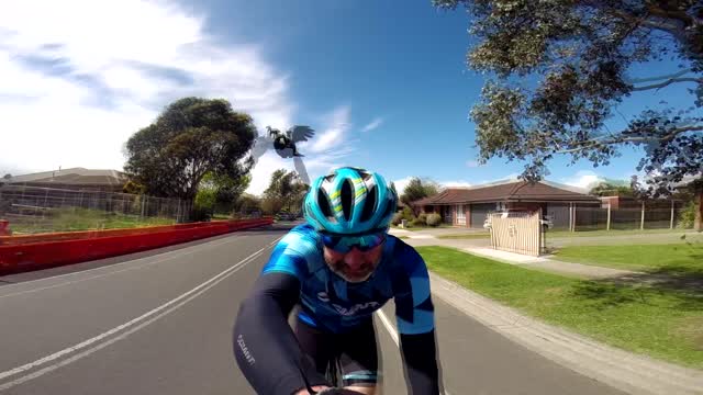 Cyclist Does His Best To Ignore The Neighborhood Bird Attacking Him