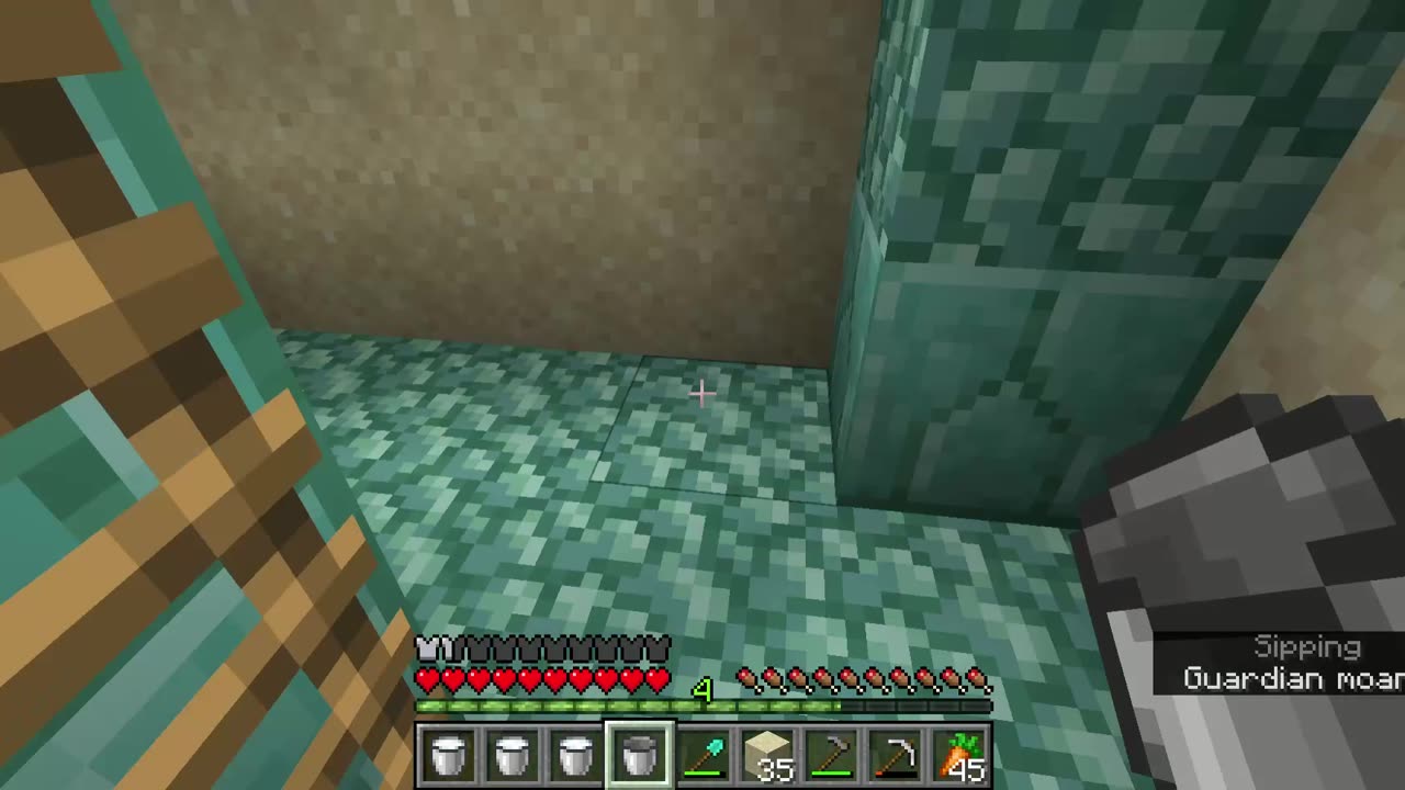 Minecraft Long Play #51